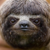 Trello profile picture for @kyle