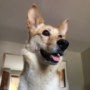 Trello profile picture for @scot