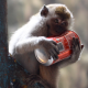 Trello profile picture for @wen