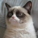 Trello profile picture for @jonatan
