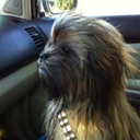 Trello profile picture for @marty