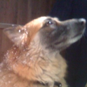 Trello profile picture for @mel