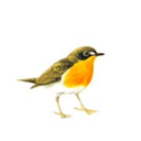 Trello profile picture for @lawa