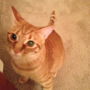 Trello profile picture for @wes