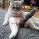 Trello profile picture for @mony
