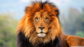 Trello profile picture for @cpp