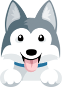 Trello profile picture for @taco