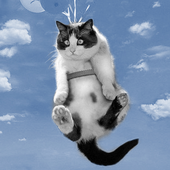 Trello profile picture for @flow
