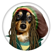 Trello profile picture for @priest