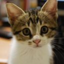 Trello profile picture for @von