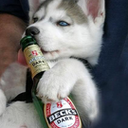 Trello profile picture for @oishi