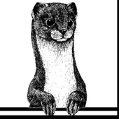 Trello profile picture for @paella