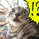 Trello profile picture for @vicious