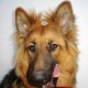 Trello profile picture for @geography