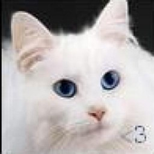 Trello profile picture for @dunn