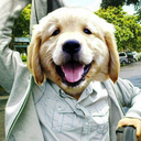 Trello profile picture for @teddy15