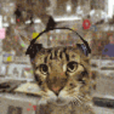 Trello profile picture for @spirits