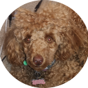 Trello profile picture for @cardio