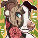 Trello profile picture for @siera