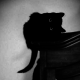 Trello profile picture for @lovro