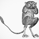 Trello profile picture for @tarsier