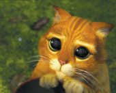 Trello profile picture for @boots