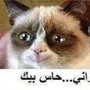 Trello profile picture for @iraq