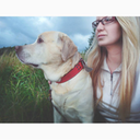 Trello profile picture for @kitts