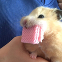 Trello profile picture for @neurologist