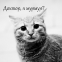 Trello profile picture for @sarcasm