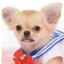 Trello profile picture for @seduces