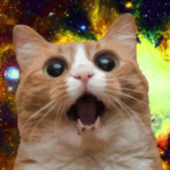 Trello profile picture for @lamp28