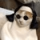 Trello profile picture for @lohan