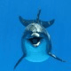 Trello profile picture for @nico